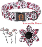MR. CHUBBYFACE Valentine's Dog Collar - Image 2