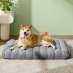 LE SURE Cute Orthopedic Dog Bed Medium Size Dog, Waterproof Chic Flat Pet Beds - Image 2