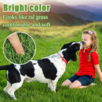 Bsmathom Artificial Grass Rug Indoor Outdoor Rug, Professional Dog Potty - Image 6
