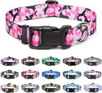 Mercano Adjustable Dog Collar by Unknown