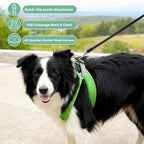 ROYPET Step-in Air Dog Harness, All Weather Mesh Step in Vest Harness - Image 3