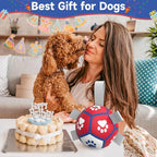 Diman Small Dog Toys Soccer Ball - Image 7