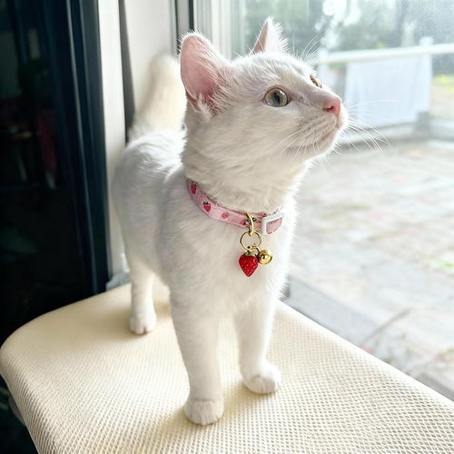 2-Pack Cotton Breakaway Cat Collar - Image 2