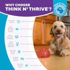 Outward Hound by Planet Dog Lil' Snoop Dog Toy – Treat‑Dispenser Puzzle Ball - Image 8