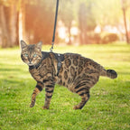 PUPTECK Cat Harness and Leash Set Escape Proof, Reflective Adjustable Soft Mesh - Image 6