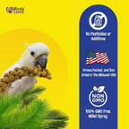Birds LOVE Economy Special Spray Millet | GMO-Free - Image 5
