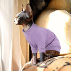 PUMYPOREITY Cat Clothes - Image 4