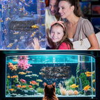Betta Fish Toys, Safe Aquarium Decor - Image 7