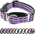 Hikiko Martingale Dog Collars Reflective Nylon Dog Collar by Hikiko