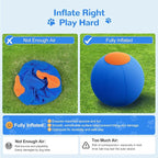 ZIDA 18" Herding Ball for Dogs and Horses - Image 4