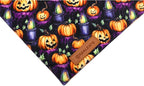 Realeaf Halloween Dog Bandanas 2 Pack, Pumpkins and Ghosts Pet Scarf - Image 4