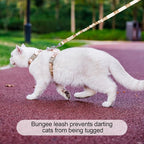 BEAUTYZOO Cat Harness and Leash Set Escape Proof - Image 5