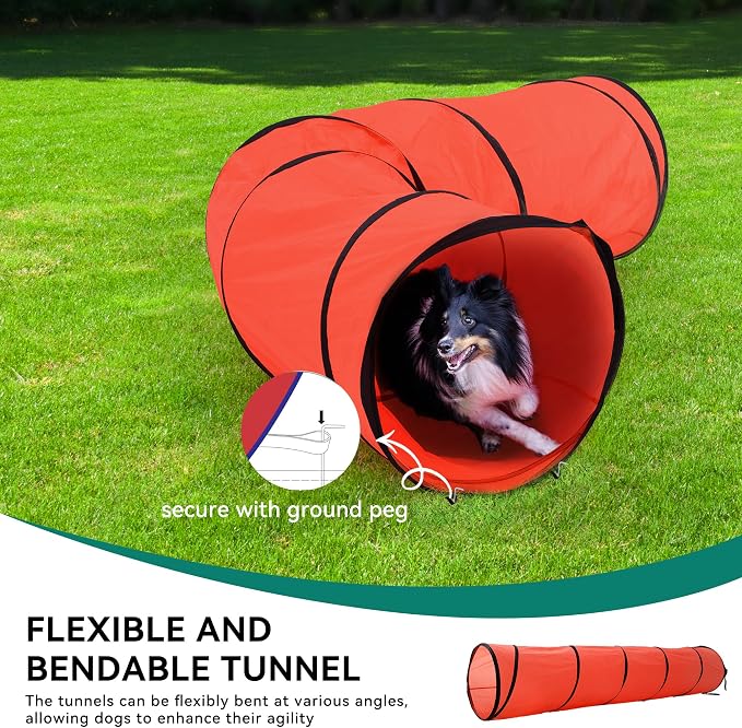 DWVO Dog Agility Accessories Kit: Comprises of a Teaser Pole, 2 Hurdles - Image 4