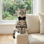 THAIN Cat Collar with Bow Tie and Bell, Breakaway Adjustable Cute Soft Corduroy - Image 5