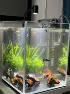 Small Natural Driftwood for Aquarium Styling Carefully Selected Natural - Image 5