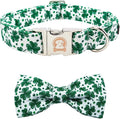 MR. CHUBBYFACE St.Patrick's Day Dog Collar Green Clovers Adjustable Dog Collar by MrChubbyfacePetSupplies