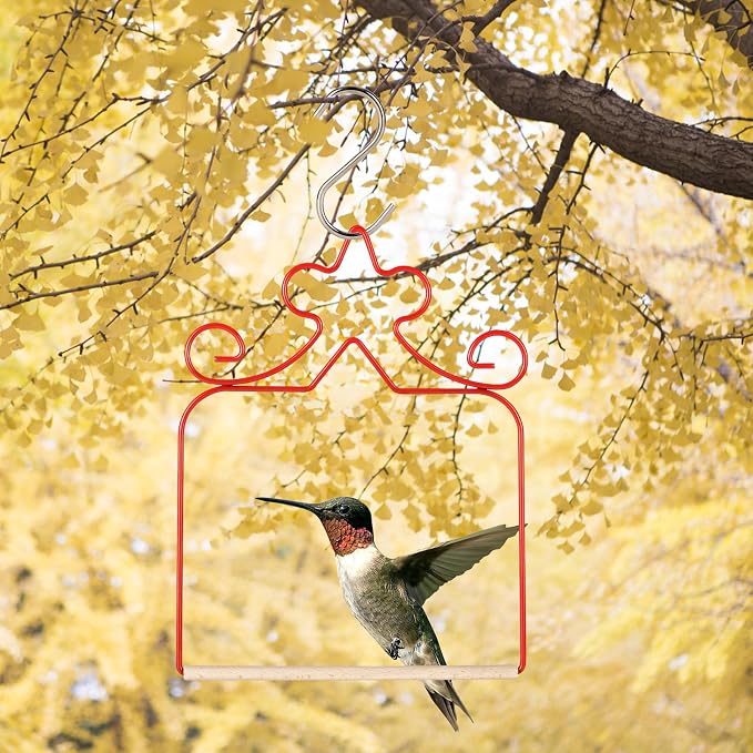 Hummingbird Swings 4 Pack, Rust Resistant Metal Frame - Image 6