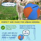 Herding Ball for Dogs and Horses - Image 2