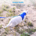 Cat Harness and Leash for Walking Escape Proof Breathable Mesh Fabric, Solid - Image 9