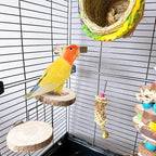 Hamiledyi 3PCS Perch Platform for Bird Cage Natural Round Wooden Stand Platform - Image 2