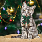 SCENEREAL Christmas Cat Collar - Image 2