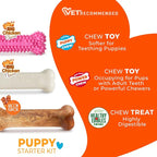 Nylabone Puppy Chew Toys & Natural Treat Triple Pack, Puppy Enrichment Teething - Image 5