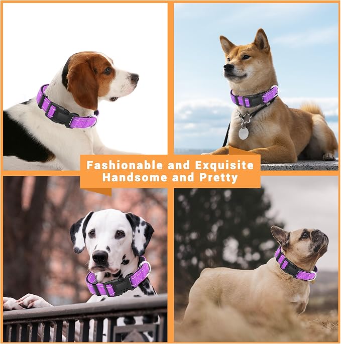 2 Pack Reflective Dog Collar - Image 5