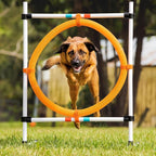 Midlee Dog Agility Hoop Jump - Image 8