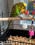 22-Pack Bird Toys for Parakeets & Small Birds – Colorful Cage Fun - Image 6