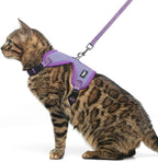 PUPTECK Cat Harness and Leash Set Escape Proof, Reflective Adjustable Soft Mesh by PUPTECK