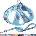 AIITLE Easy Walk Dog Harness and Leash Set by AIITLE-FORPETSBETTERLIFE