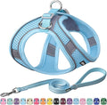 AIITLE No Pull Dog Harness and Leash Set, Step in Adjustable Dog Harness by AIITLE-FORPETSBETTERLIFE