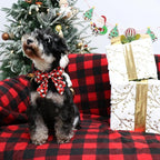 Christmas Dog Collar with Bow Tie, Christmas Collar - Image 4