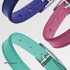 CollarDirect Leather Cat Collar, Kitten Collar - Image 8