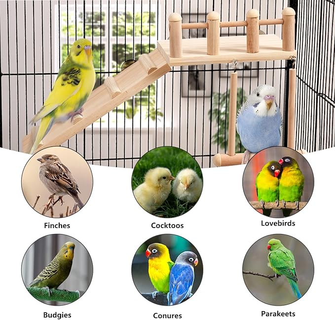 Bird Perches Platform Swing - Image 4