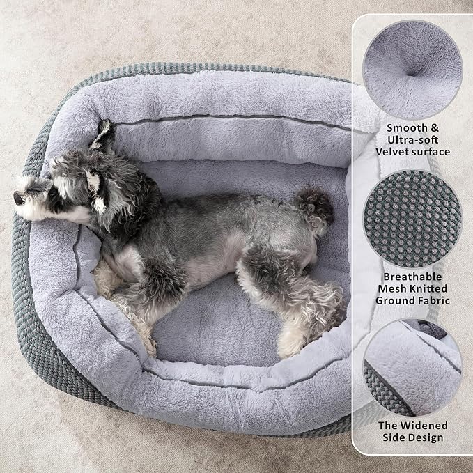 INVENHO Small Dog Bed for Small Dogs, Cat Beds for Indoor Cats Washable - Image 2