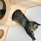 Cat Wall Shelves and Furniture Set - Image 6