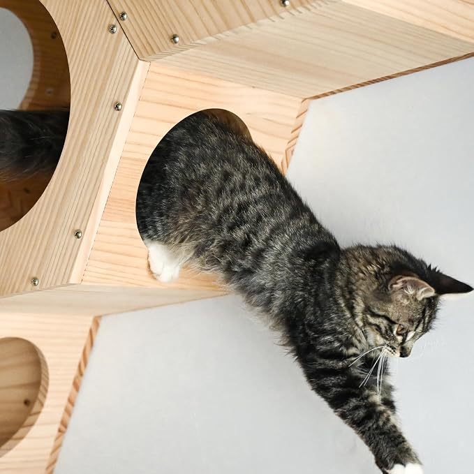 Cat Wall Shelves and Furniture Set - Image 6