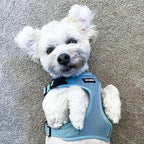 Voyager Step-in Pet Harness - Image 8