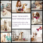 3 Pack Indestructible Dog Chew Bones - Image 5