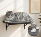 Cat Wall Shelves Set of 2, Wall-Mounted Space-Saving Climbing Shelf, Window - Image 2