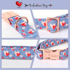 Unique style paws Valentine's Day Dog Collar Metal Buckle Collar Blue Pink Love - Image 3