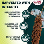 Living World – Millet Spray for Birds, 7 Oz – Premium Treat for Budgies - Image 3