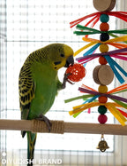 23-Pack Bird Toys for Parrots – Natural Rattan & Plastic Bell Balls – Safe - Image 5