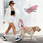 Didog Soft PU Leather Dog Collar, Stylish Quick Released Dog Collar - Image 4