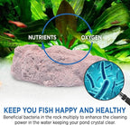 Fish Tank Rocks for Enhancing Water Clarity - Image 7