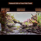 majoywoo Natural Large Driftwood - Image 6