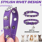 EXPAWLORER Leather Cat Collar for Girl Boy- Adjustable Pet Collar - Image 4