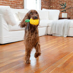 Outward Hound Dental Pineapple Dog Toy & Treat Stuffer, 6.8″ x 3.3″ - Image 8