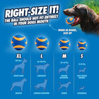 Chuckit! Ultra Squeaker Balls for Dogs, Floating Water Pet Toys, Durable Rubber - Image 4